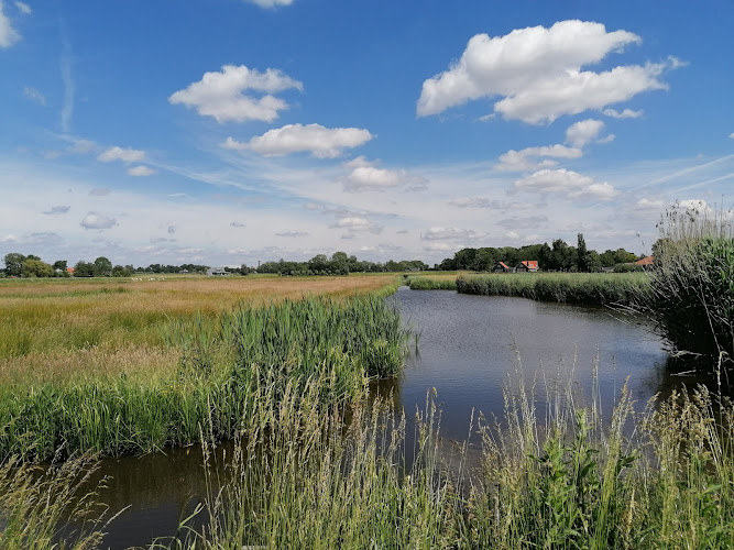 Middelpolder