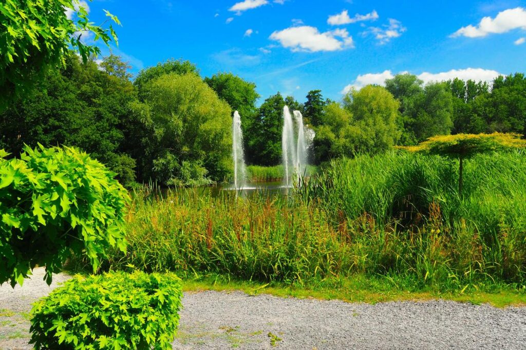 Amstelpark's serene landscape, featuring vibrant fountains, trees, and skyline