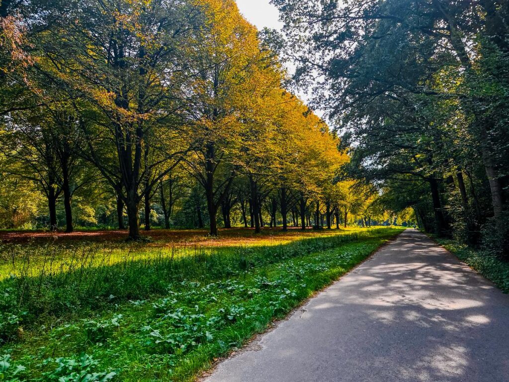 Autumn foliage and walking trail at the Het Amsterdamse Bos Park in  Netherlands