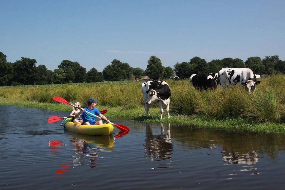 Tourists on an Amsterdam Countryside Kayak Tour and Experience