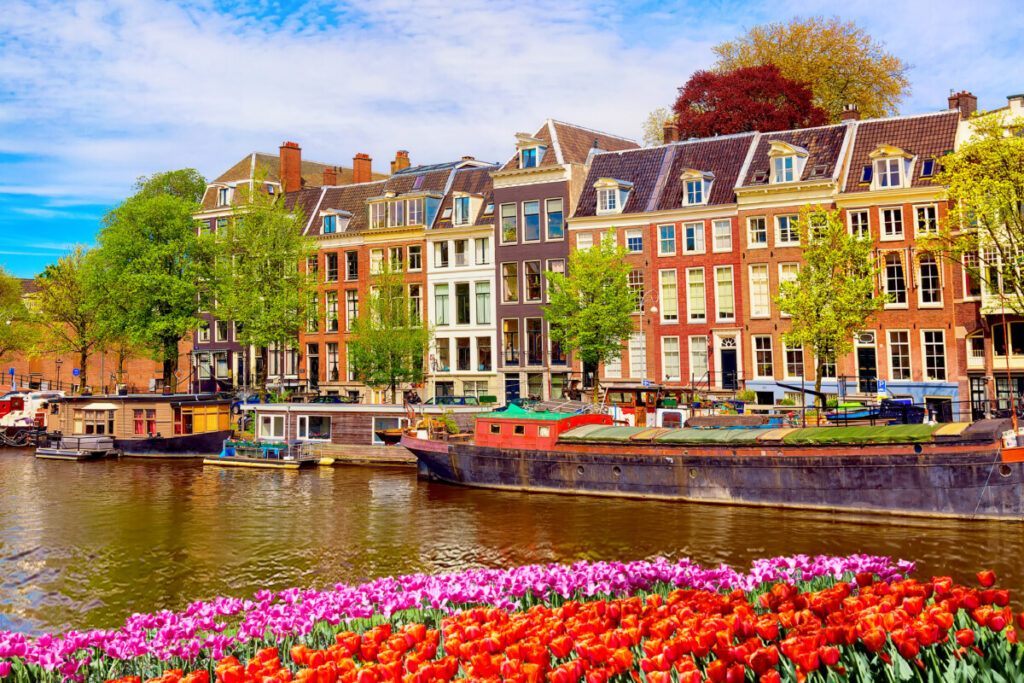 Panoramic view of the colorful houses, canal, and spring tulips in Amsterdam, The Netherlands