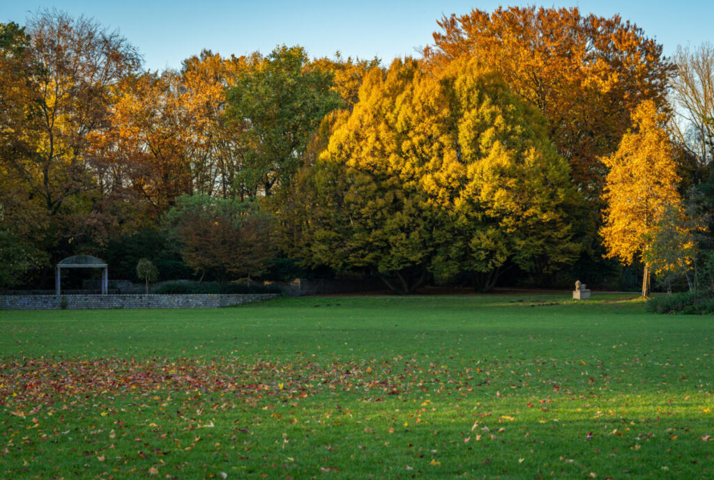 Autumn foliage view at the Beatrixpark in Amsterdam, Netherlands