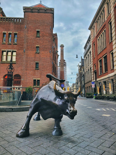 Charging Bull Amsterdam