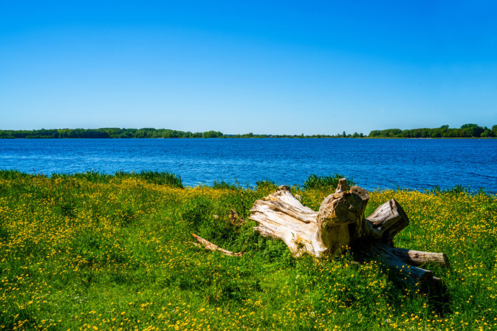 Panoramic view of the Het Twiske in Amsterdam, The Netherlands