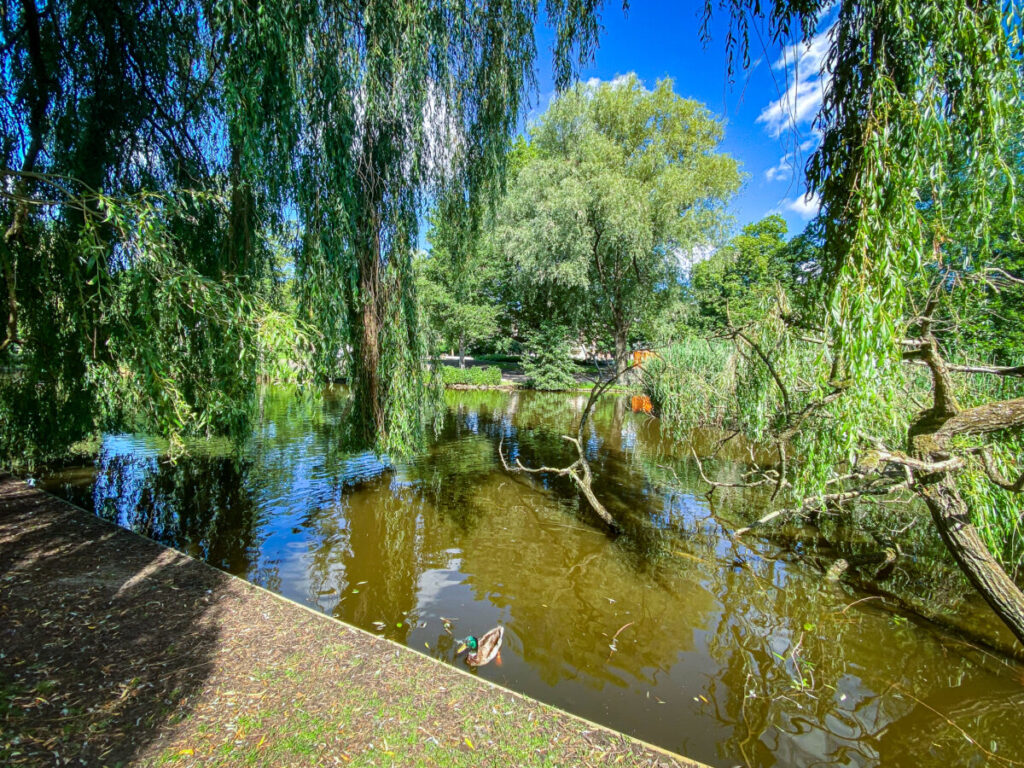 Greenery and Trees in Sarphatipark