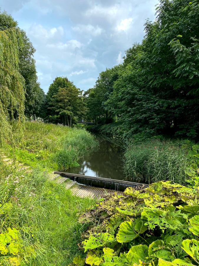 Lush greenery at Westerpark, Amsterdam - Ideal for nature walks and lush garden wedding venues