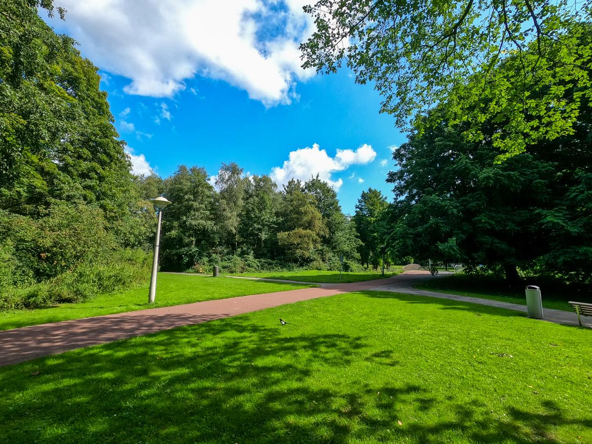 Serene Rembrandtpark pathway with lush greenery and a quaint bridge in Amsterdam