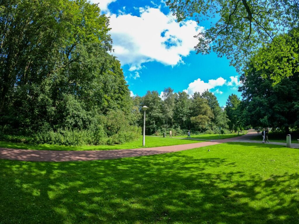 Summer day at Rembrandtpark with lush greenery and clear skies in Amsterdam