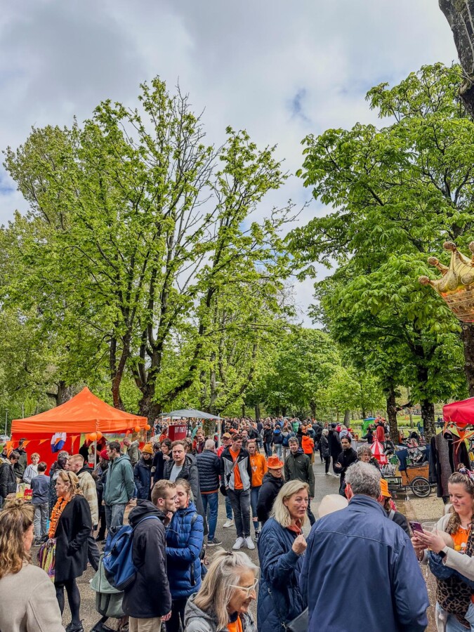 Crowd and the Vibrant King's Day Celebrations at Vondelpark, Amsterdam