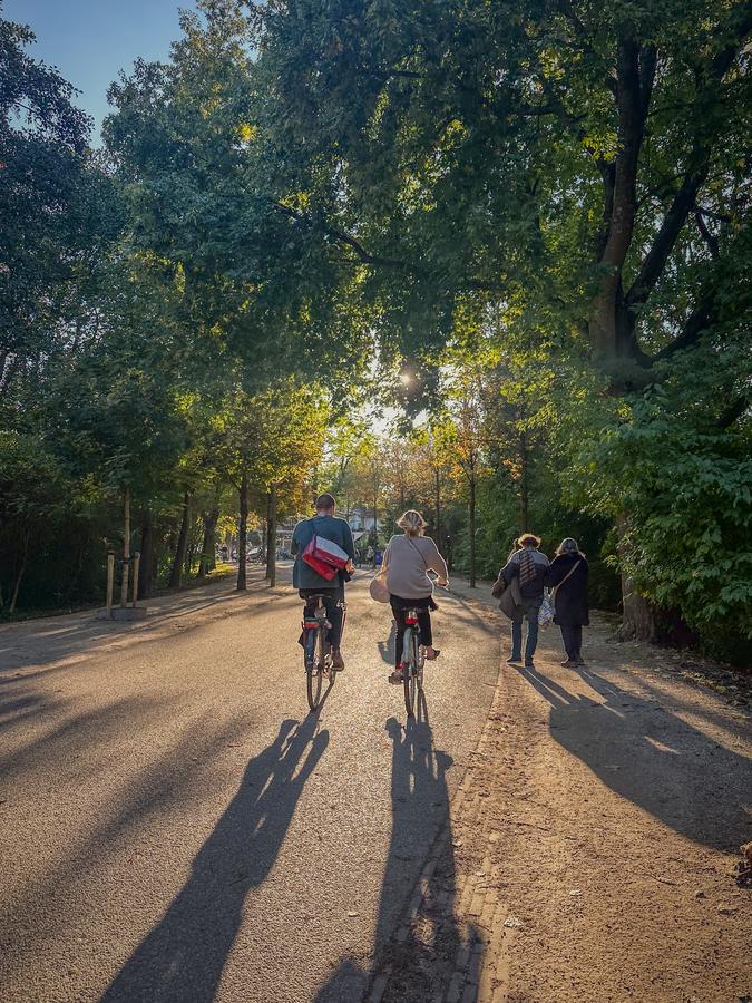 Vondelpark In Autumn